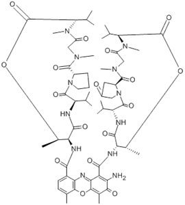 Actinomycin V (8CI,9CI) CAS NO.18865-48-0